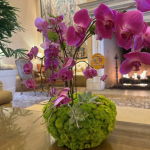 Fancy Ochids