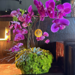 Fancy Ochids - Image 2