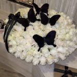 Signature Butterfly Elegance*