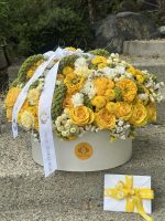 Golden Sunshine Bloom