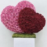 Two Hearts ,One Love